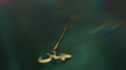Video showing gold jewellery earring saying the word 'Jaan' in Dari against green background, with twirling rainbow lights.