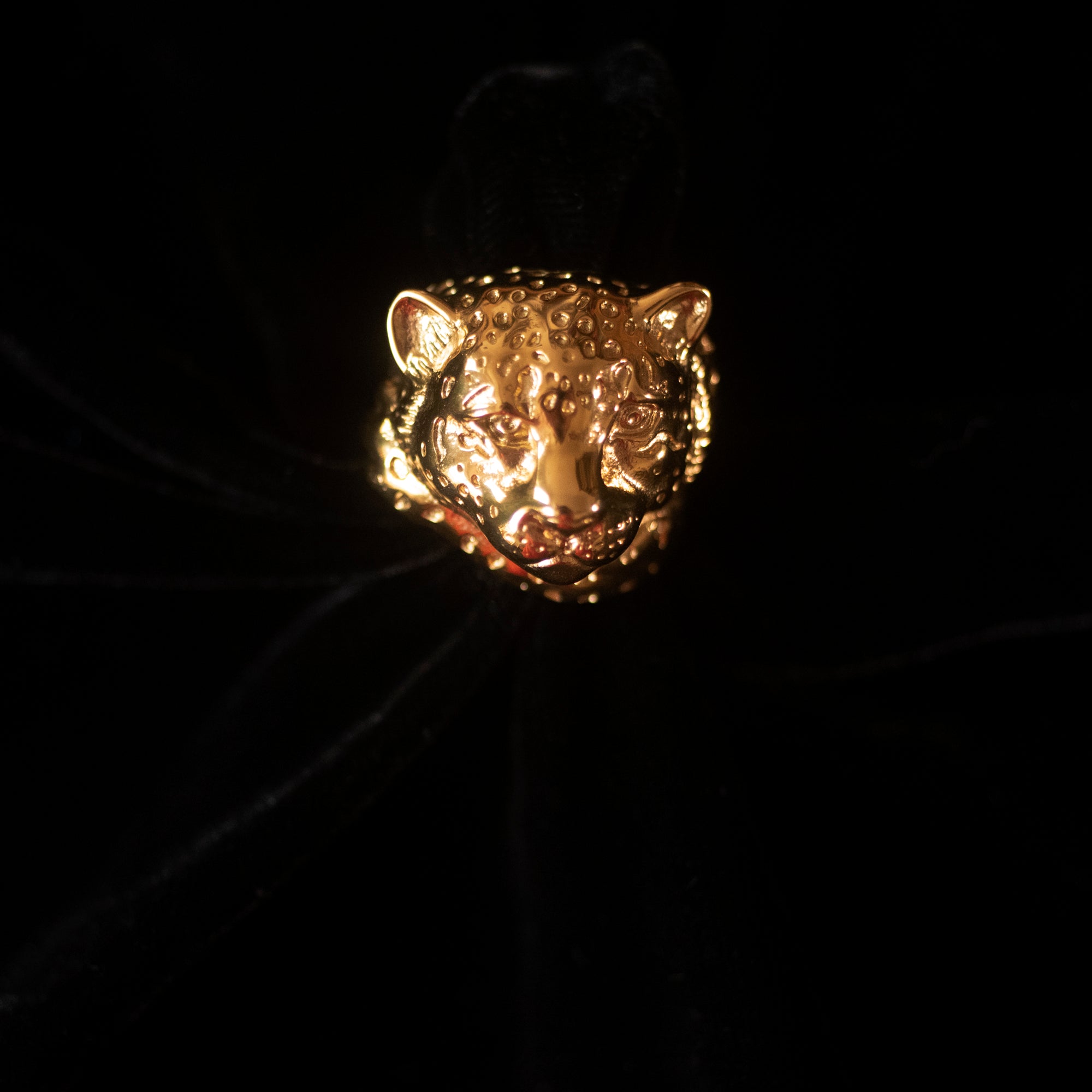 On a black background, sits a gold ring in the shape of a snow leopard.