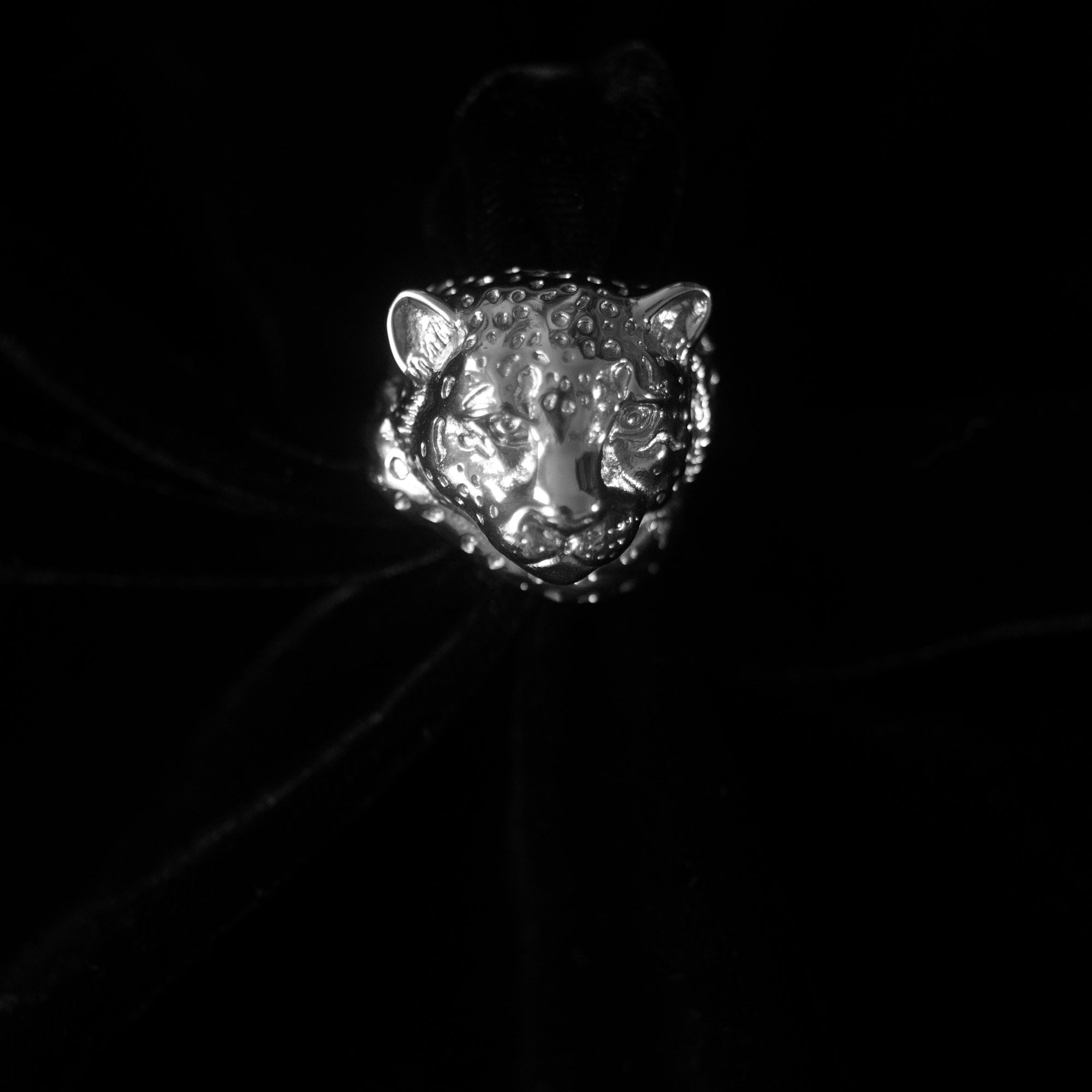 On a black background, sits a silver ring in the shape of a snow leopard.